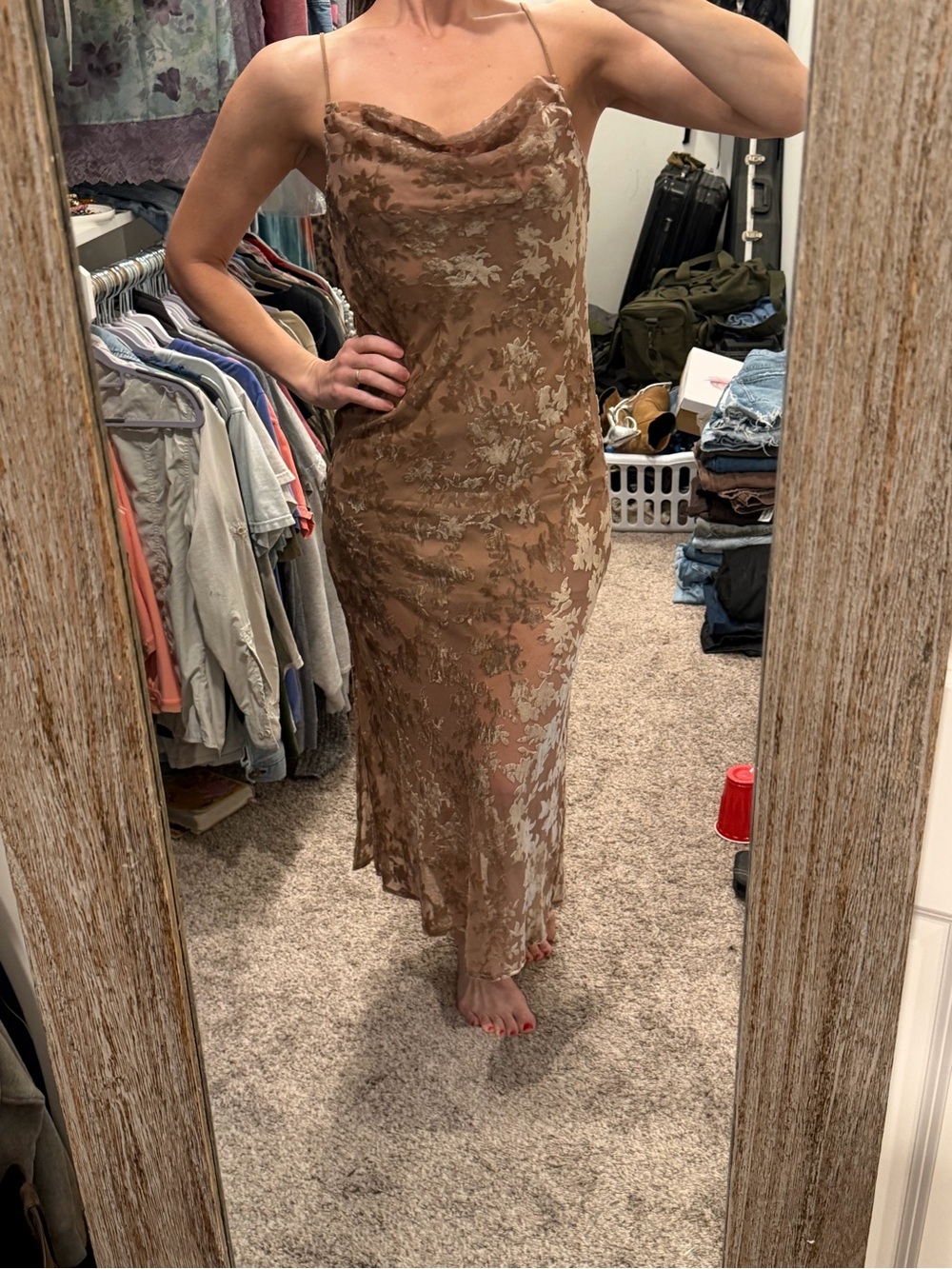 Vici Velvet Burnout Maxi Dress